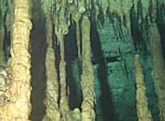 Cenote - Cave Features
